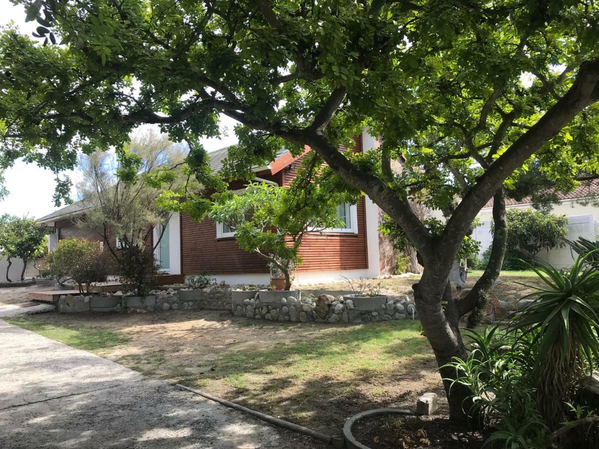 African Holiday Home In Table View 开普敦 外观 照片